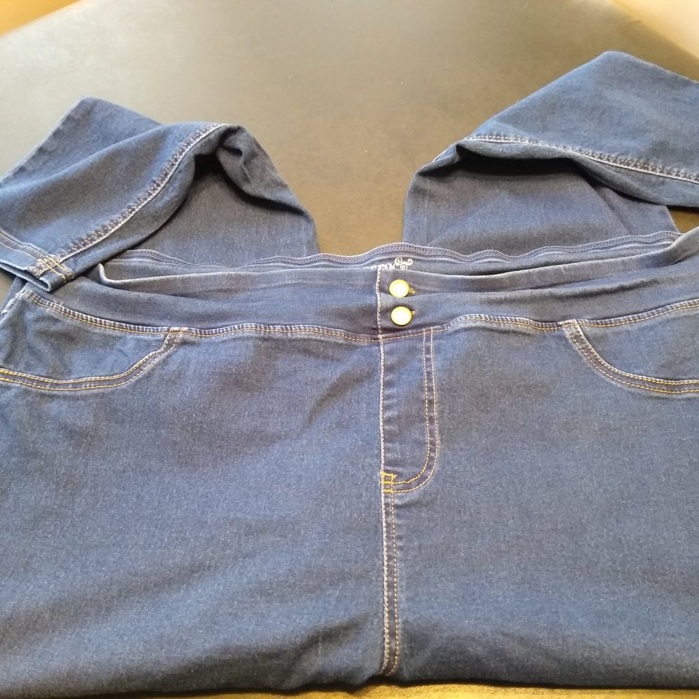Terra & Sky Jean Jegging